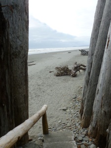 Cool driftwood entrance to the beach